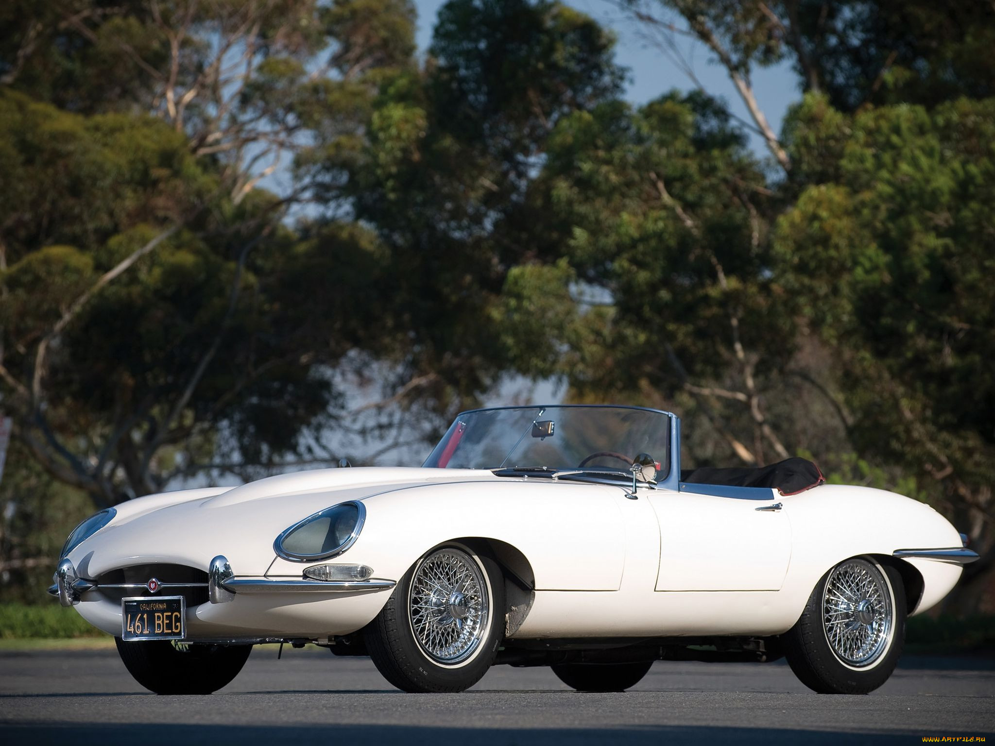 , jaguar